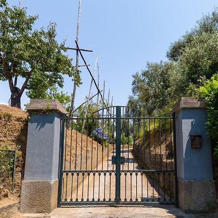 סורנטו Villa Ada מראה חיצוני תמונה